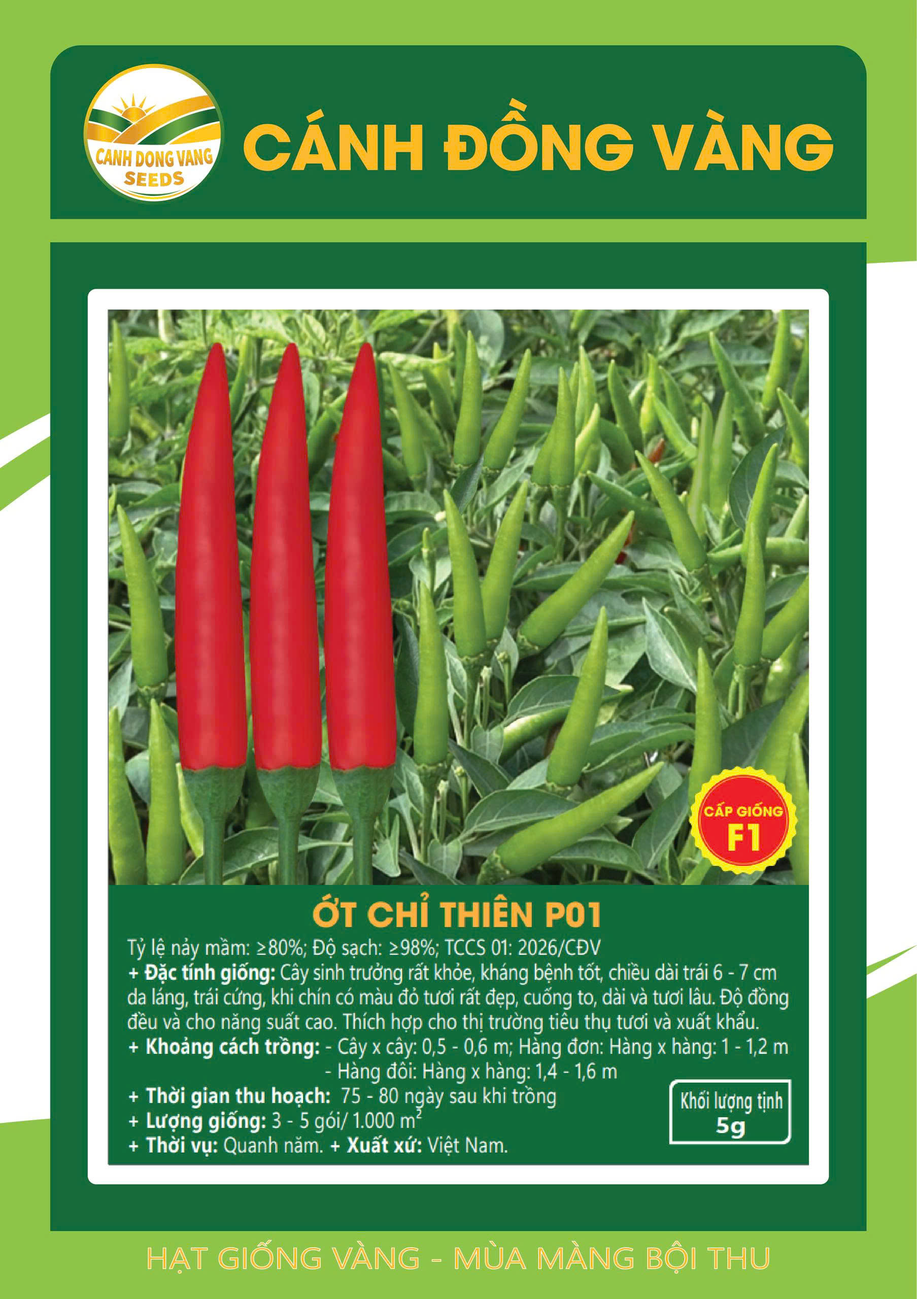 ỚT CHỈ THIÊN P01